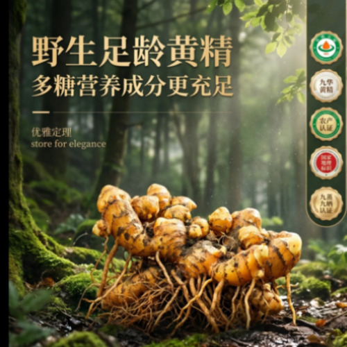 宣传视觉方案